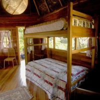 arajuno-jungle-lodge-slider-1-1.jpg