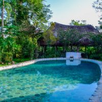 france-amazonia-002-1.jpg