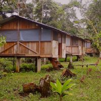 napusamai-ayahuasca-lodge-portada-1.jpg