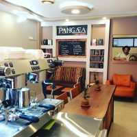 pangaea-3-1.jpg
