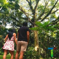 paseo-parque-la-isla.jpg